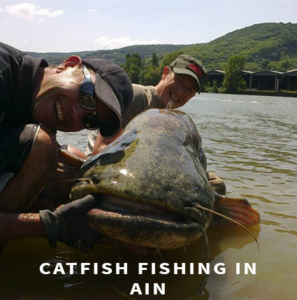 Lure fishing Catfish fishing in Ain